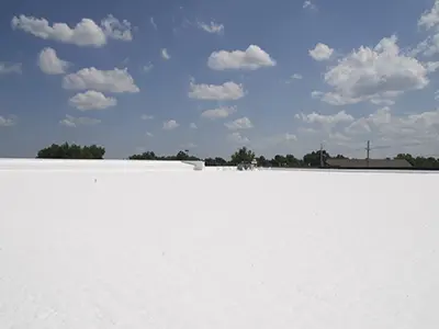 Fluid-Applied Roofing1