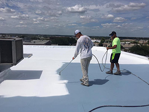Commercial Roof Coatings Papillon NE 1