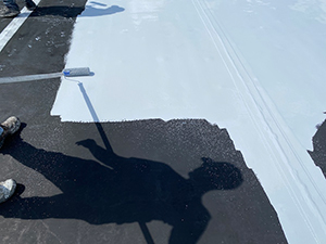 Roof Restoration - Papillon, NE 2