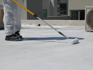 Liquid Applied Roofing Papillion, NE 1