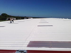 Metal Roof Coating Ralston, NE 1