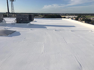 Roof Coatings Ralston, NE 1