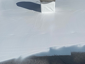 Roof Coatings Ralston, NE 2