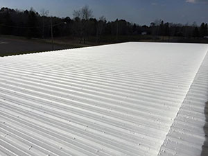 Roof Coatings La Vista, NE 2